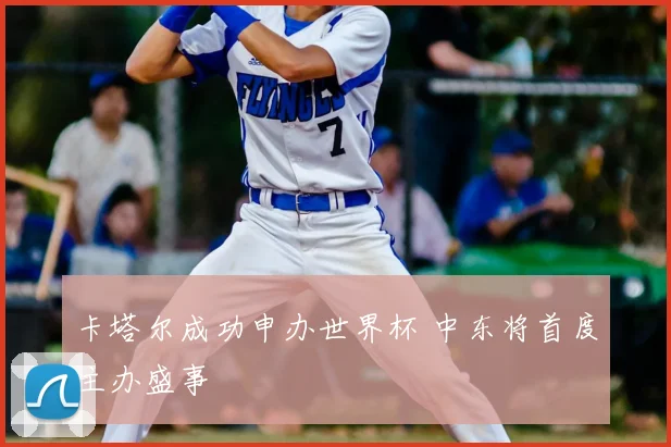 卡塔尔成功申办世界杯 中东将首度主办盛事