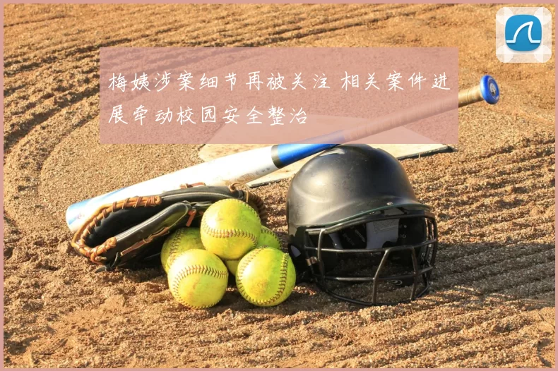 梅姨涉案细节再被关注 相关案件进展牵动校园安全整治
