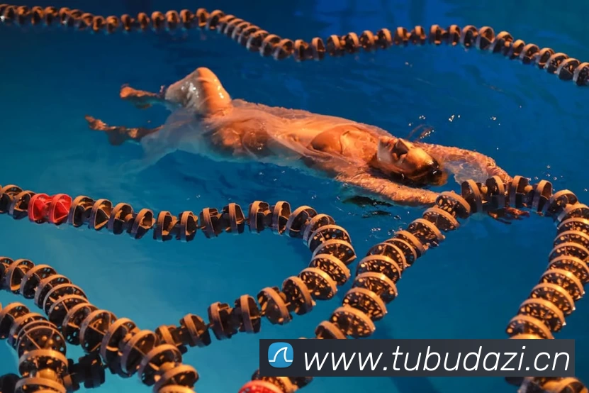 乐鱼官方端网站登录入口 - 乐鱼leyu(中国)APP 高清赛事图